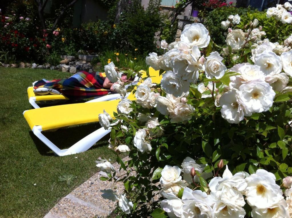 לינה וארוחת בוקר Lafare Le Grand Jardin מראה חיצוני תמונה