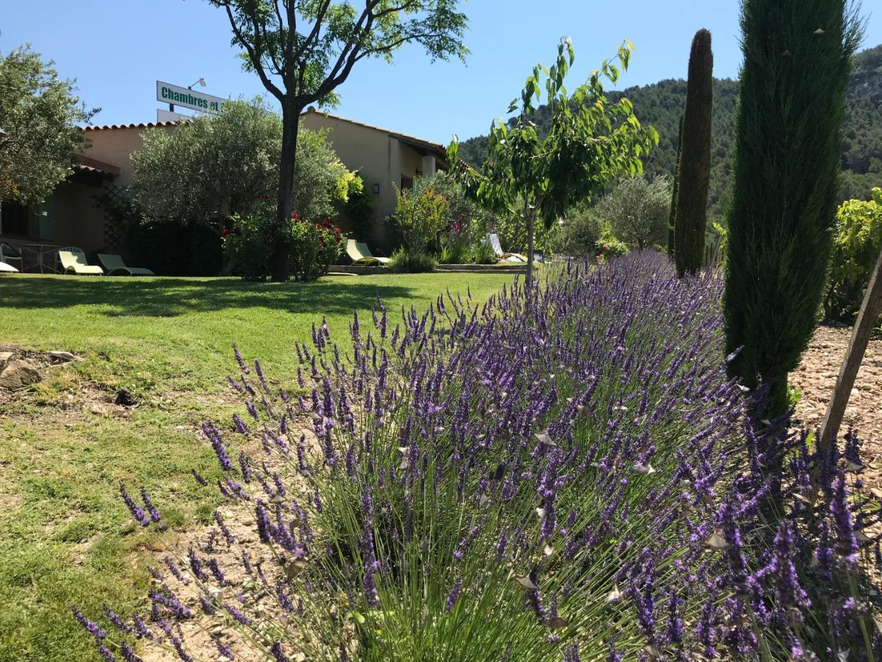 לינה וארוחת בוקר Lafare Le Grand Jardin מראה חיצוני תמונה