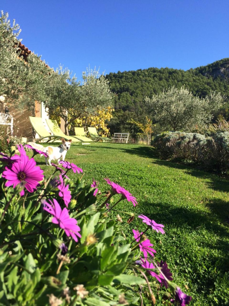 לינה וארוחת בוקר Lafare Le Grand Jardin מראה חיצוני תמונה